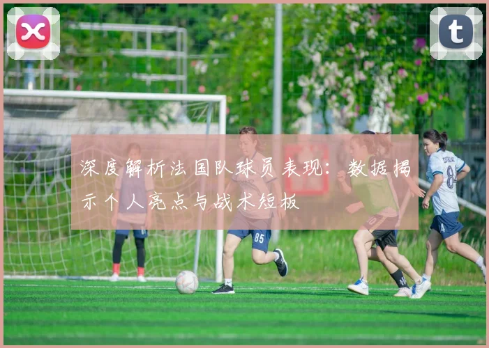 深度解析法国队球员表现:数据揭示个人亮点与战术短板