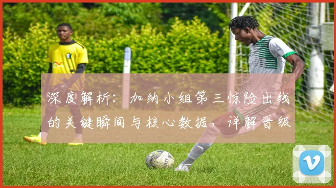 深度解析：加纳小组第三惊险出线的关键瞬间与核心数据，详解晋级之路